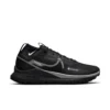 Nike Men's Pegasus Trail 4 GoreTex Running Shoe - Black/Wolf Grey- Regular (D)
